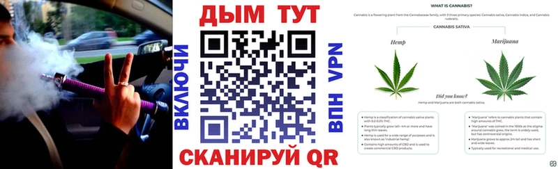 Канабис OG Kush Симферополь